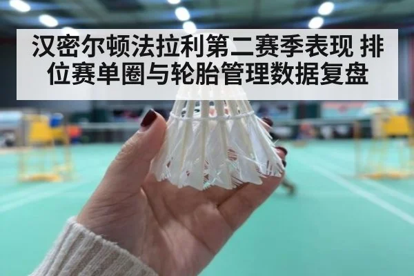 汉密尔顿法拉利第二赛季表现 排位赛单圈与轮胎管理数据复盘
