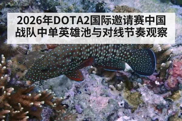 2026年DOTA2国际邀请赛中国战队中单英雄池与对线节奏观察