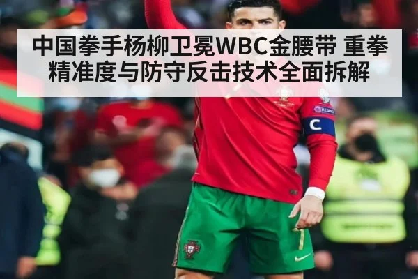 中国拳手杨柳卫冕WBC金腰带 重拳精准度与防守反击技术全面拆解